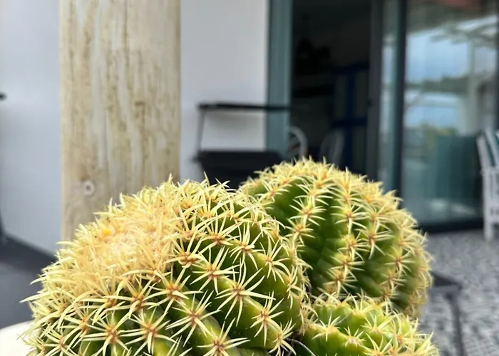 Casita Tiare Apartman